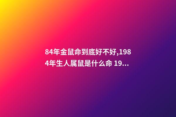 84年金鼠命到底好不好,1984年生人属鼠是什么命 1984年属鼠人命运,1984年属鼠的人是什么命-第1张-观点-玄机派